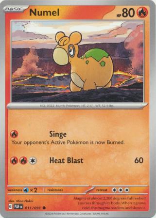 Scarlet & Violet: Paldean Fates : 011/091 - Numel - Common