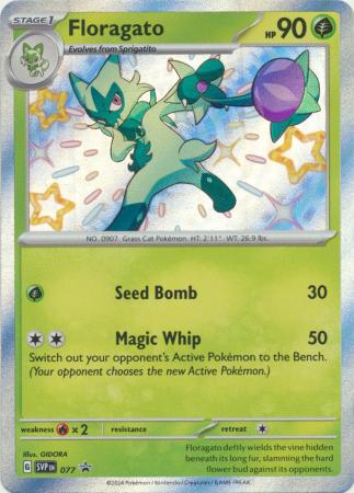 Scarlet & Violet: Paldean Fates : SVP077 - Floragato - Shiny Promo