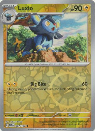 Scarlet & Violet: Twilight Masquerade : 067/167 - Luxio - Common Reverse Holo