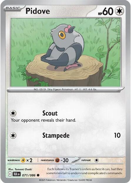 Pidove - 071/086 - SV: Black Bolt (BLK)