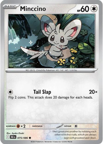 Minccino - 075/086 - SV: Black Bolt (BLK)