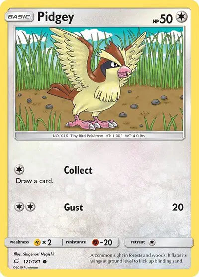 Team Up 121 Common Pidgey